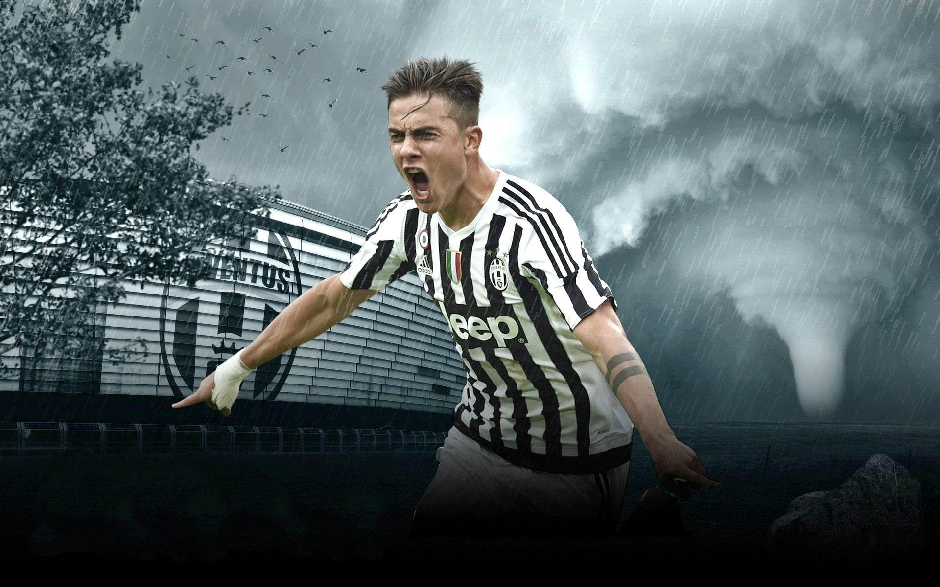 限额与技术 限额与技术